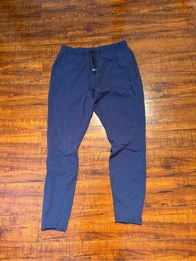 Fabletics Men's Navy Takeover Pant | Size S